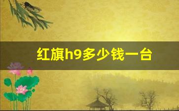 红旗h9多少钱一台 新款(红旗h9多少钱一台 新款长宽高分别)_https://www.wanyuyiyao.com_北交所_第1张